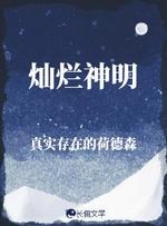 灿烂神明封面