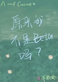 卡牌小龙宠护手册封面