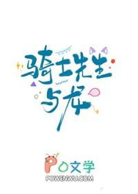 九天神陨封面