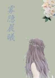 问情何时归什么意思封面