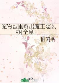 清平梦华录封面