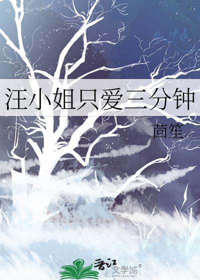 汪小姐只爱三分钟封面