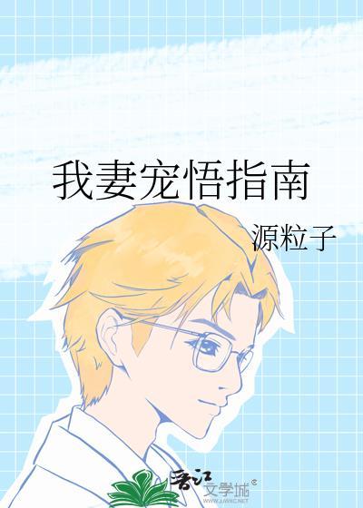 我妻宠悟指南封面