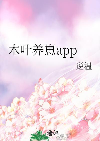 骑士夫人模拟器封面
