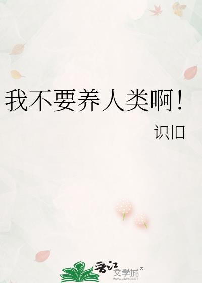 宇智波攻略手札封面