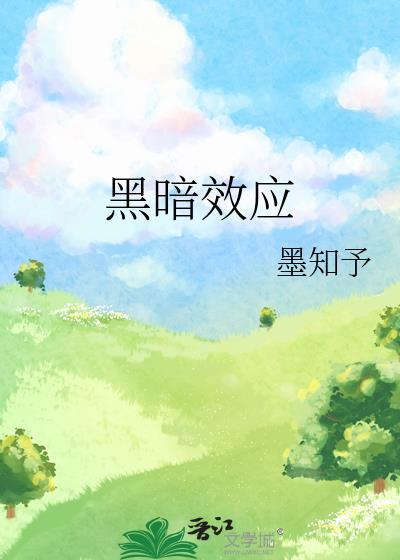黑暗效应封面
