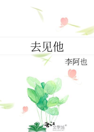去见他封面