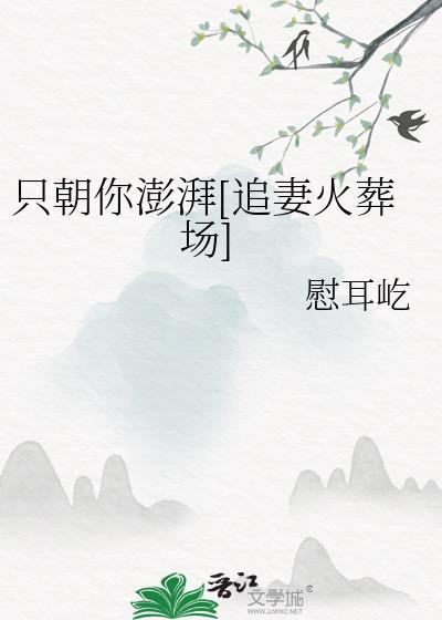 只朝你澎湃[追妻火葬场]封面