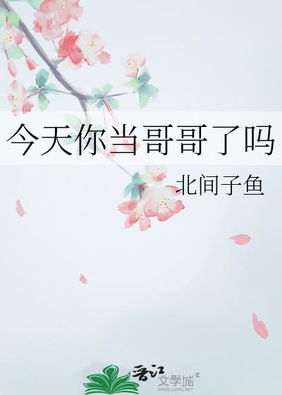 今天你当哥哥了吗封面