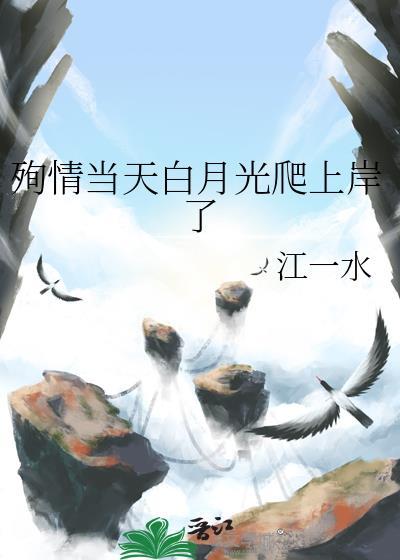 破碎的他封面