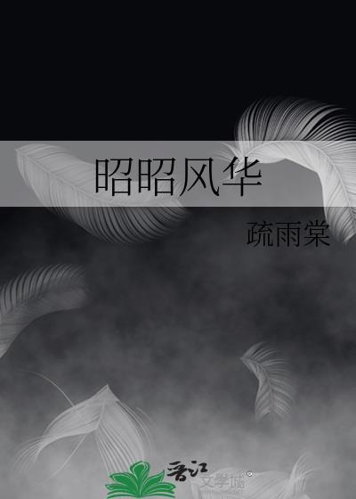 昭昭风华封面