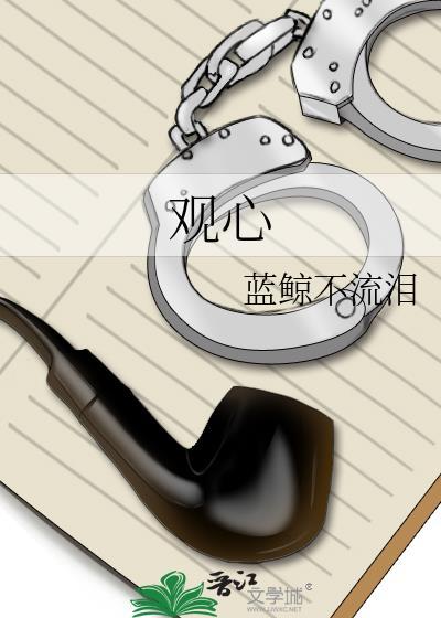 观心封面