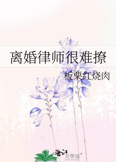 离婚律师很难撩封面