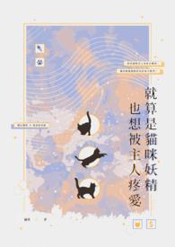 当我另嫁他时封面