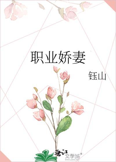 职业娇妻封面