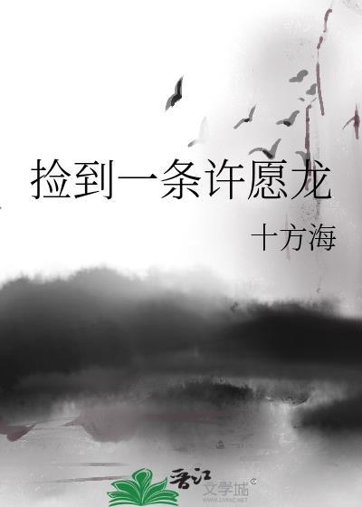 捡到一条许愿龙封面