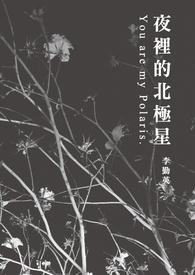 夜里的北极星封面