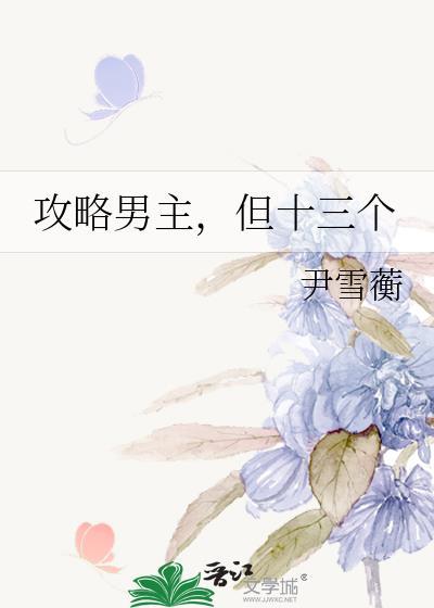 攻略男主，但十三个封面