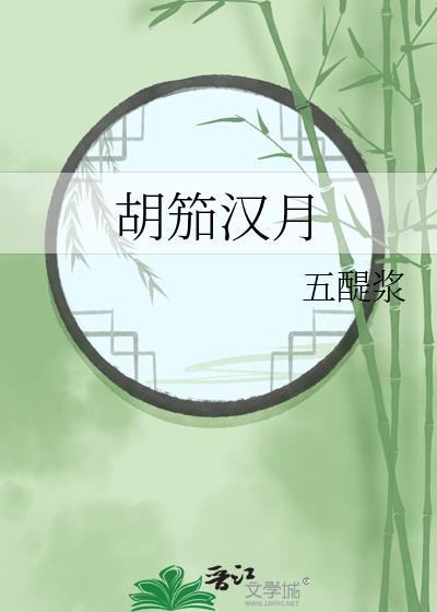 胡笳汉月封面