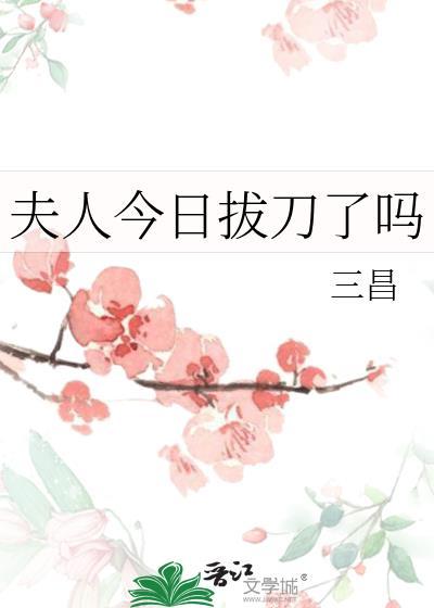 夫人今日拔刀了吗封面