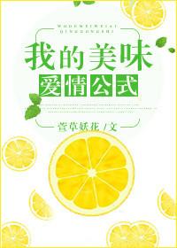 我的美味爱情公式封面