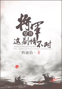 将军这剧情不对封面