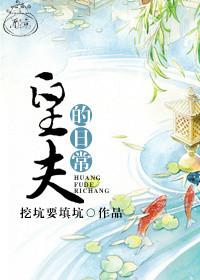 锦书不负黎封面