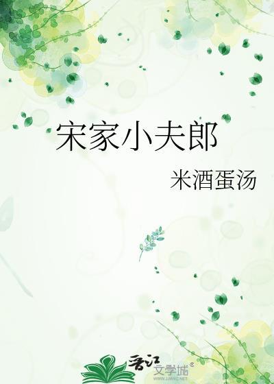 宋家小夫郎封面