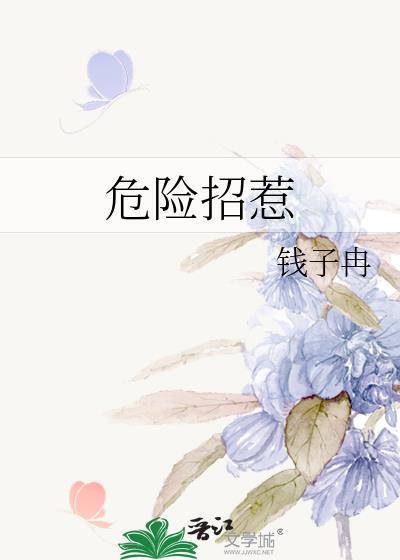 危险招惹封面