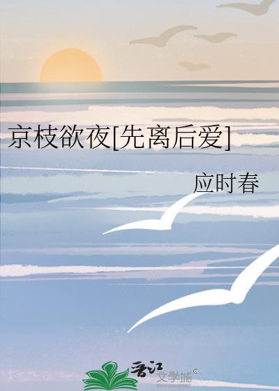 京枝欲夜[先离后爱]封面