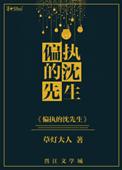 偏执的沈先生封面