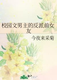 校园文男主的反派前女友封面