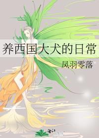 权限在手怎么输[综英美]封面