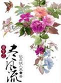 重生之尽风流封面