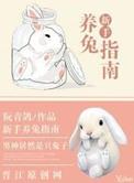 新手养兔指南封面