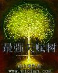 将神养狐手札封面