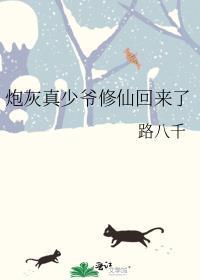 炮灰真少爷修仙回来了封面