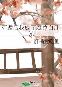 江海共余生最火的一句封面
