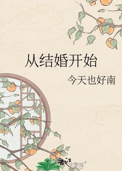 从结婚开始封面