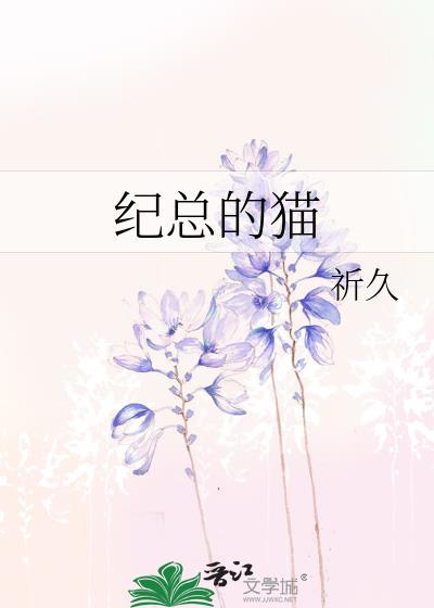 纪总的猫封面